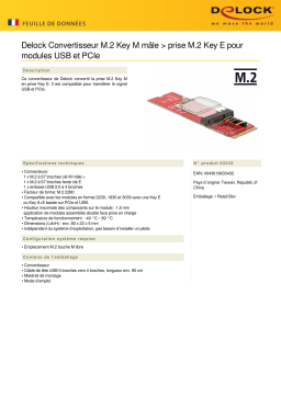 DeLOCK 63343 Converter M.2 Key M male > M.2 Key E slot for USB and PCIe modules Fiche technique
