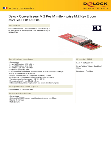 DeLOCK 63343 Converter M.2 Key M male > M.2 Key E slot for USB and PCIe modules Fiche technique | Fixfr