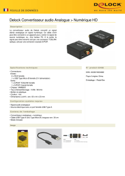 DeLOCK 63468 Audio Converter Analogue > Digital HD Fiche technique