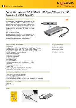 DeLOCK 63260 External USB 3.2 Gen 2 USB Type-C™ Hub Fiche technique