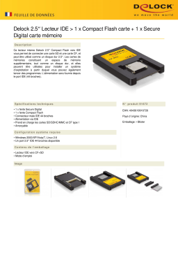 DeLOCK 91672 2.5″ Drive IDE > 1 x Compact Flash Card + 1 x Secure Digital Card Fiche technique