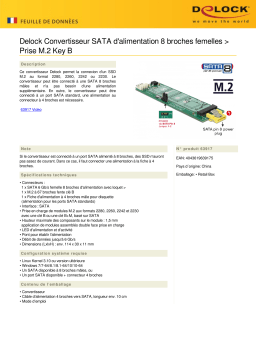 DeLOCK 63917 Converter SATA pin 8 power receptacle > M.2 Key B slot Fiche technique