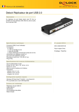 DeLOCK 87513 USB 2.0 Port Replicator Fiche technique