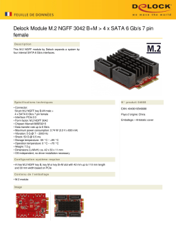 DeLOCK 54668 Module M.2 NGFF 3042 B+M > 4 x SATA 6 Gb/s 7 pin female Fiche technique