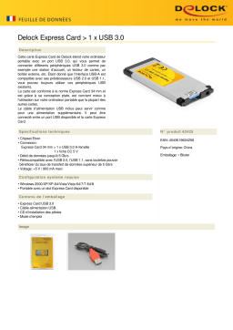 DeLOCK 62425 Express Card > 1 x USB 3.0 Fiche technique