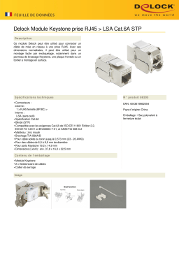 DeLOCK 86205 Keystone Module RJ45 jack > LSA Cat.6A STP Fiche technique