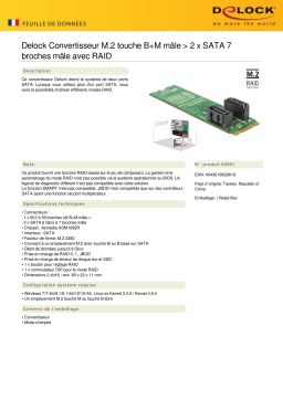 DeLOCK 62961 Converter M.2 Key B+M male > 2 x SATA 7 pin male Fiche technique