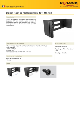 DeLOCK 43317 19″ Wall Mount Rack 4U black Fiche technique