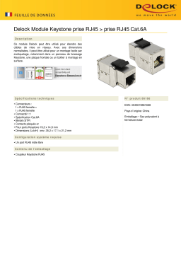 DeLOCK 86166 Keystone Module RJ45 jack > RJ45 jack Cat.6A Fiche technique