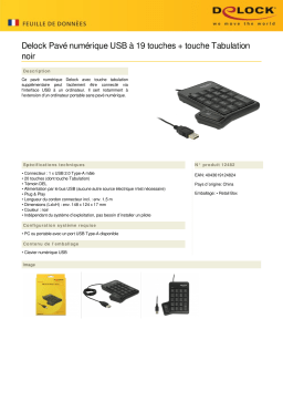 DeLOCK 12482 USB Key Pad 19 keys + Tab key black Fiche technique