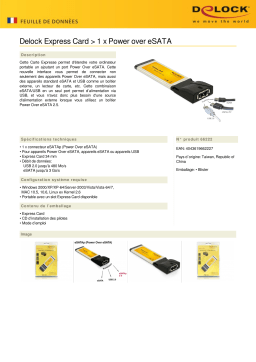 DeLOCK 66222 Express Card > 1 x Power over eSATA Fiche technique