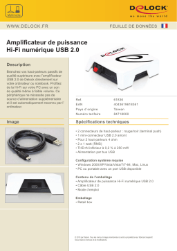 DeLOCK 61836 USB 2.0 Digital Hi-Fi Power Amplifier Fiche technique