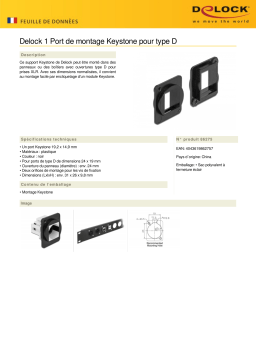 DeLOCK 86275 Keystone Mounting 1 Port for D-type Fiche technique