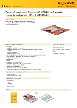 DeLOCK 62840 Converter Raspberry Pi USB Micro-B female / USB pin header > 1 x SDXC slot Fiche technique