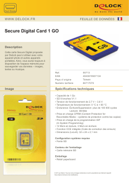 DeLOCK 55713 Secure Digital Card 1 GB Fiche technique