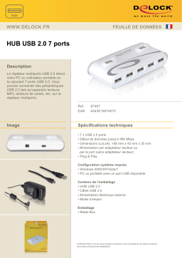 DeLOCK 87467 USB 2.0 External HUB 7 Port Fiche technique