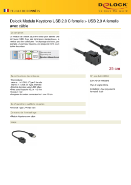 DeLOCK 86384 Keystone Module USB 2.0 C female > USB 2.0 A female Fiche technique