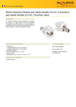 DeLOCK 86322 Keystone Module stereo jack female 3.5 mm 3 pin to stereo jack female 3.5 mm 3 pin white Fiche technique