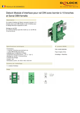 DeLOCK 66038 Interface Module for DIN Rail Fiche technique