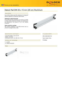 DeLOCK 66179 DIN Rail 35 x 15 mm (25 cm) Aluminium Fiche technique