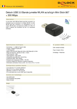 DeLOCK 12502 USB 3.0 Dual Band WLAN ac/a/b/g/n Mini Stick 867 + 300 Mbps Fiche technique