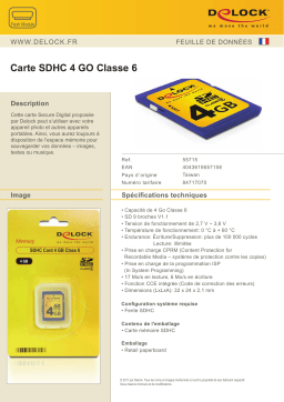 DeLOCK 55715 SDHC Card 4 GB Class 6 Fiche technique