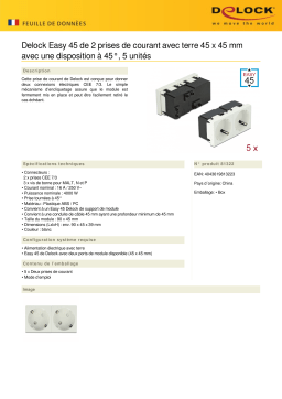 DeLOCK 81322 Easy 45 Grounded Power Socket 2-way Fiche technique