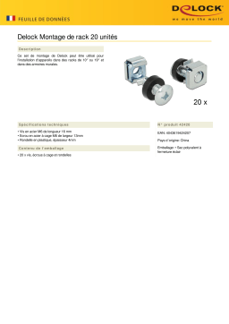 DeLOCK 42420 Rack Mounting Set 20 pieces Fiche technique