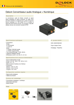 DeLOCK 62443 Audio Converter Analogue > Digital Fiche technique