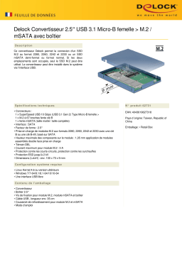 DeLOCK 62731 2.5″ Converter USB 3.1 Micro-B female > M.2 / mSATA Fiche technique