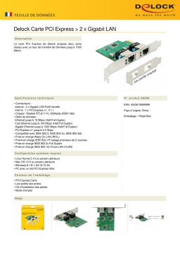 DeLOCK 89999 PCI Express x1 Card 2 x RJ45 Gigabit LAN RTL8111 Fiche technique