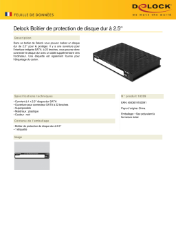 DeLOCK 18209 2.5″ HDD protection box Fiche technique