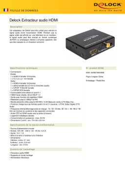 DeLOCK 62492 HDMI Audio Extractor Fiche technique