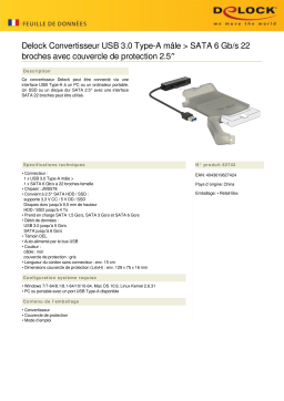 DeLOCK 62742 Converter USB 3.0 Type-A male > SATA 6 Gb/s 22 pin Fiche technique