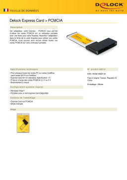 DeLOCK 66214 Express Card > PCMCIA Fiche technique