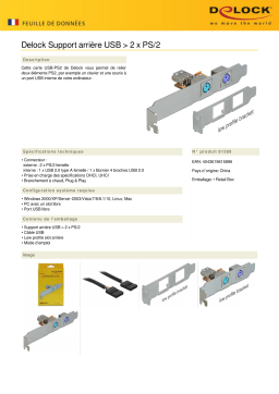 DeLOCK 61589 Rear bracket USB > 2 x PS/2 Fiche technique