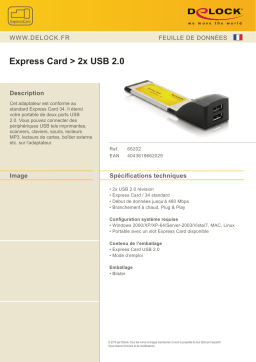 DeLOCK 66202 Express Card to 2x USB 2.0 Fiche technique