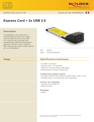 DeLOCK 66202 Express Card to 2x USB 2.0 Fiche technique | Fixfr