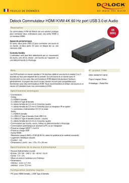 DeLOCK 11481 HDMI KVM Switch 4K 60 Hz Fiche technique