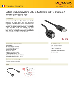 DeLOCK 86870 Keystone Module USB 2.0 A female 250° > USB 2.0 A female Fiche technique