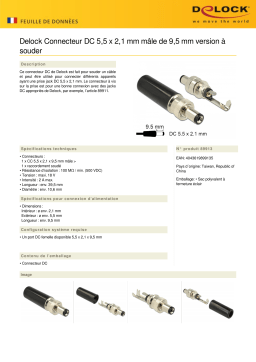 DeLOCK 89913 Connector DC 5.5 x 2.1 mm Fiche technique