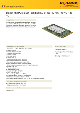 DeLOCK 54821 M.2 PCIe SSD Toshiba MLC 64 GB (42 mm) -40 °C ~ 85 °C Fiche technique