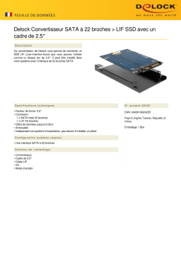 DeLOCK 62422 Converter SATA 22 pin > LIF SSD Fiche technique