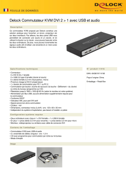 DeLOCK 11416 DVI KVM Switch 2 > 1 Fiche technique