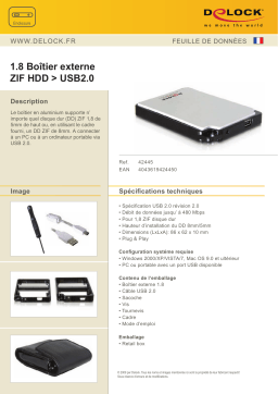 Delock 42445 Boîtier externe: Chat IA et PDF
