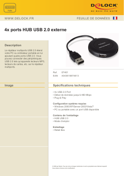 DeLOCK 87461 USB 2.0 external 4-port HUB Fiche technique