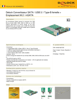 DeLOCK 62732 Converter SATA / USB 3.1 Type-B female > M.2 / mSATA Slot Fiche technique