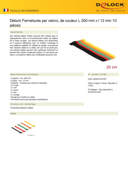 DeLOCK 18702 Hook-and-loop fasteners coloured L 200 mm x W 12 mm 10 pieces Fiche technique