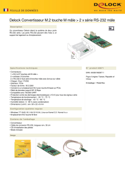 DeLOCK 62871 Converter M.2 Key M male > 2 x Serial RS-232 male Fiche technique