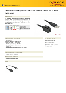 DeLOCK 86378 Keystone Module USB 2.0 C female > USB 2.0 A male Fiche technique